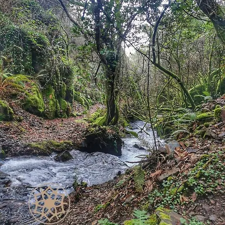 Feriehus Chr Talasnal_casa Da Pedra *